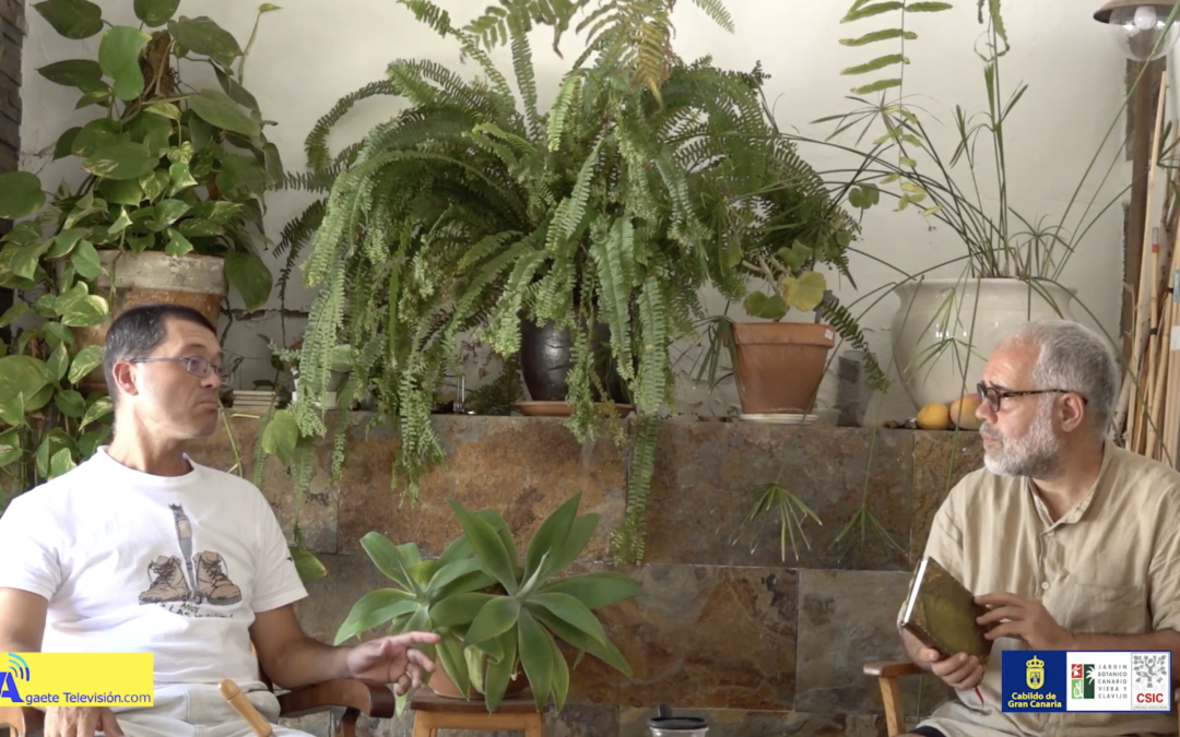 Entrevista a Daviz Nuez Arbelo: la sabiduria de las plantas