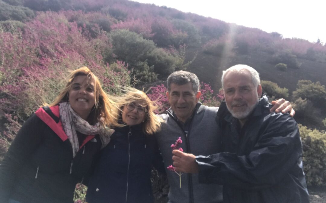 La ULL viaja a Gran Canaria para recolectar Salvia Canariensis